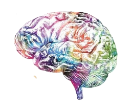 Χειρουργική Εγκεφάλου