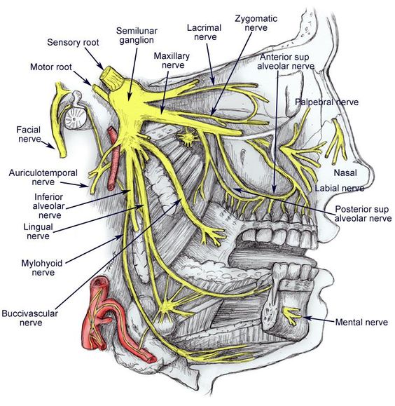 Trigeminal neuralgia