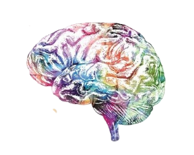 Χειρουργική Εγκεφάλου