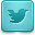 twitter social media icon